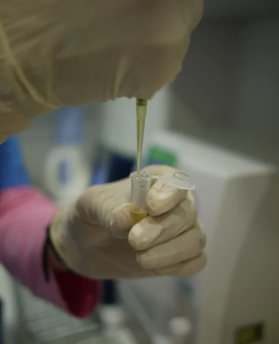 laboratorio2