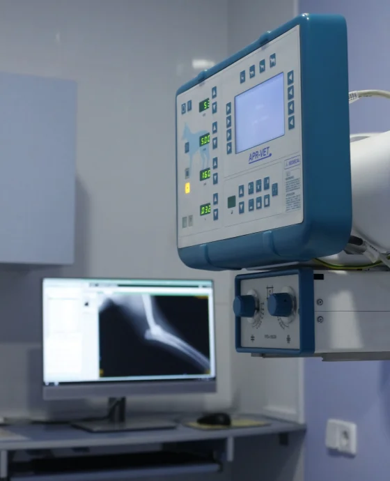 radiología