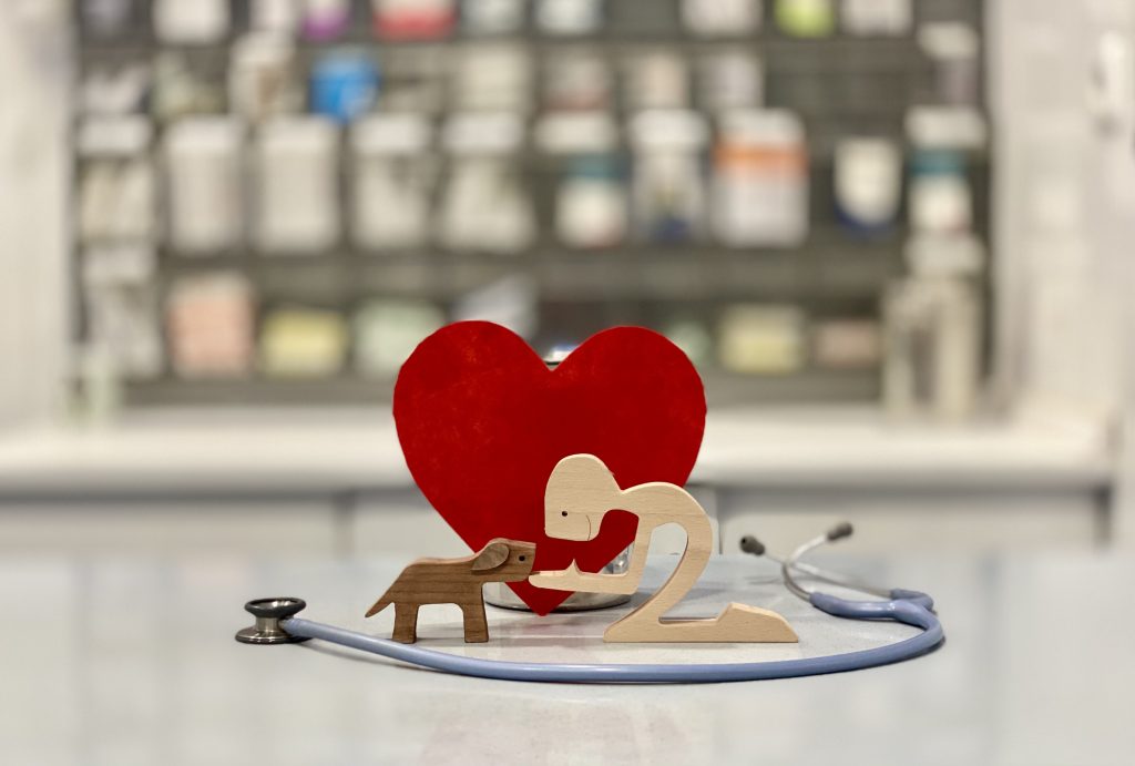 Febrero: mes del cuidado, la responsabilidad y la salud de quienes forman parte de tu hogar