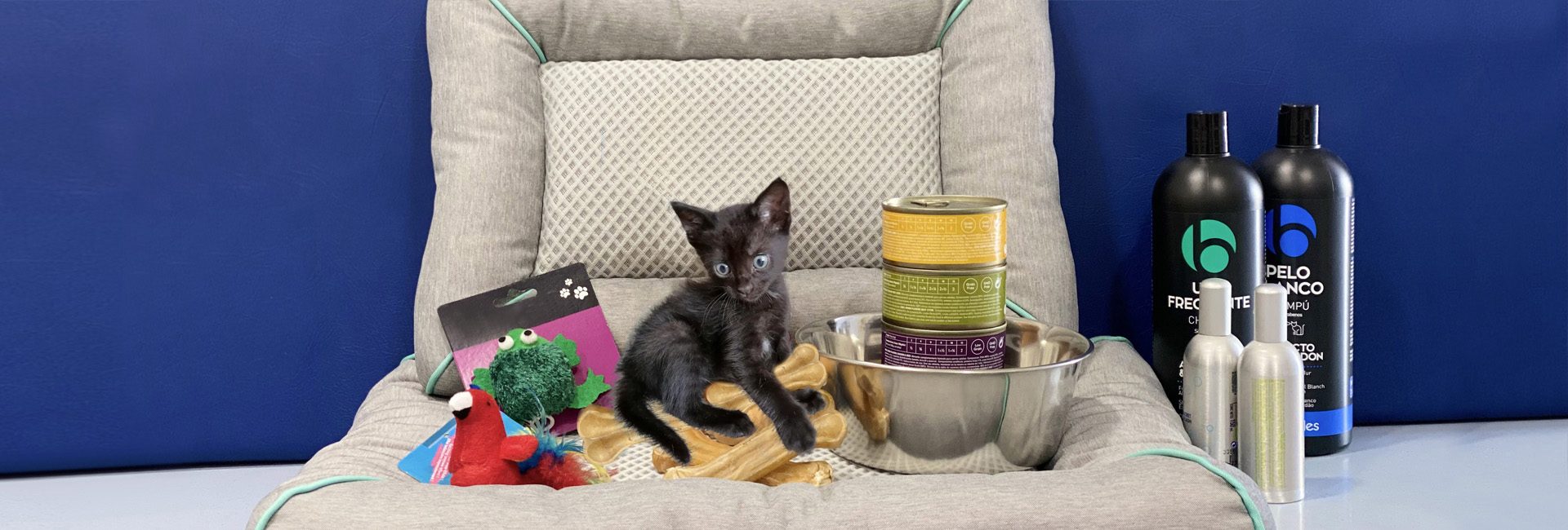 gato tienda