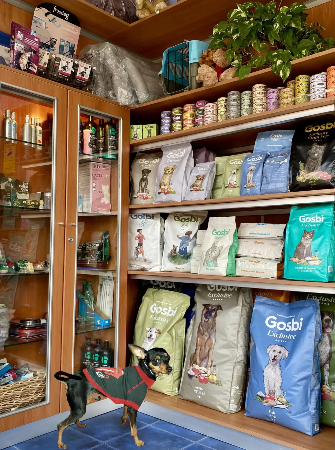 perro tienda
